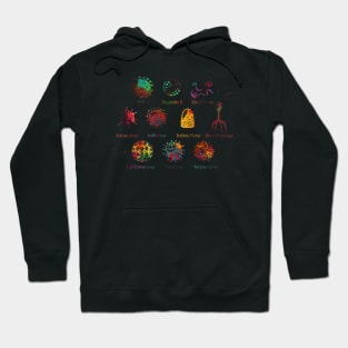 Diagram showing different kinds of viruses Hoodie